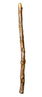 Heartland Didgeridoo (HD484)